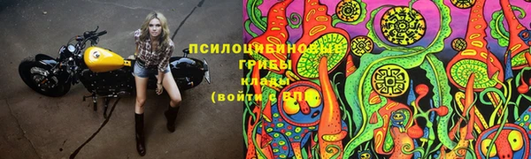 амф Арсеньев