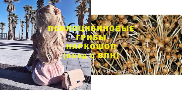 амф Арсеньев