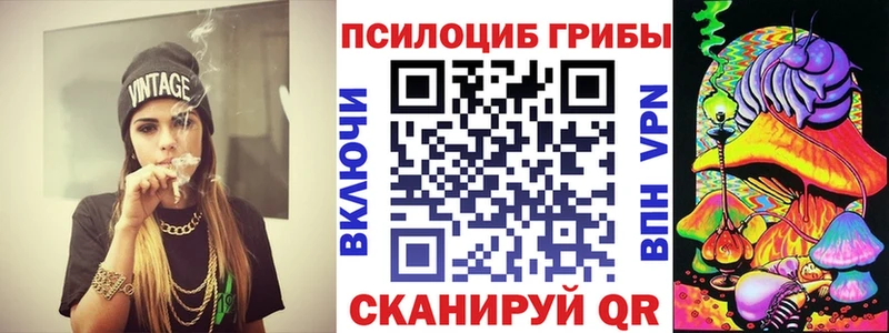 закладка  Новоуральск  Псилоцибиновые грибы Magic Shrooms 